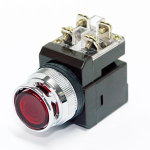 CR-304-2L - Nut nhan co den CR-304-2L